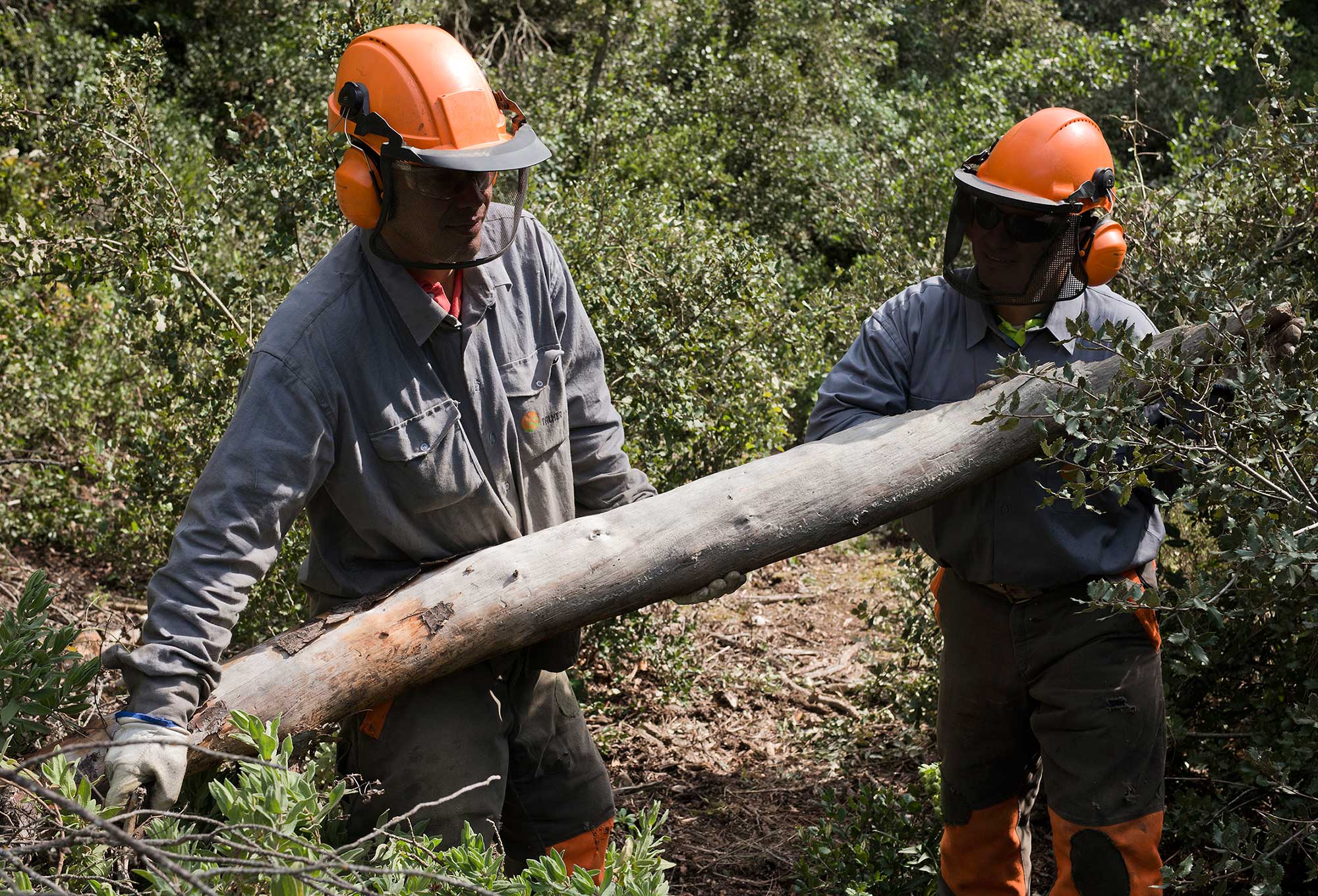 mantenimiento ambiental